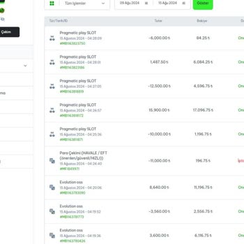 Güvenilmez Bayspin Bilerek Bakiyemi Eritti