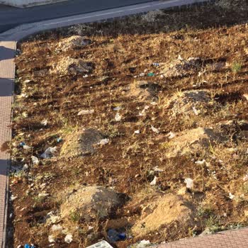 Şahinbey Belediyesi Bülbülzade Mahallesi'ndeki Çevre Kirliliği Sorunu