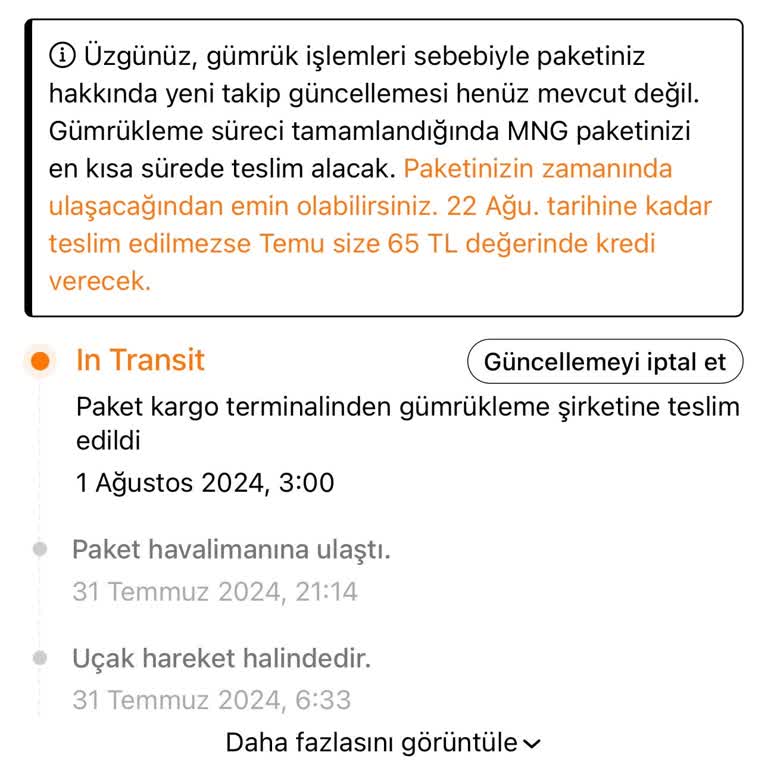 Temu Da Bekleyen MNG Kargo Gümrükten Geçmiyor