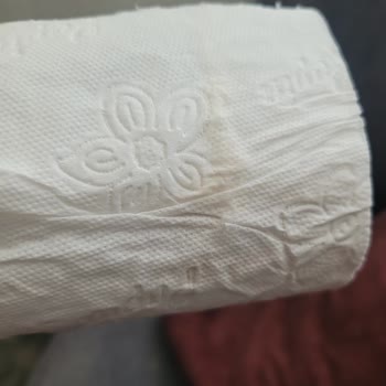 Papia Tuvalet Kağıdı Yabancı Madde