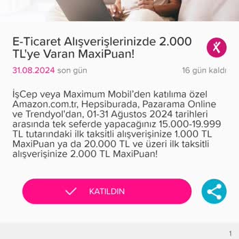 İş Bankası MaxiPuan Sorunu Sisteme Yansımaması