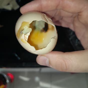 A101 Tarih Geçmemiş Bozulmuş Yumurta Sorunu