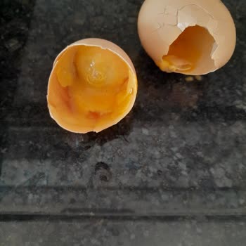 A101 Tarih Geçmemiş Bozulmuş Yumurta Sorunu