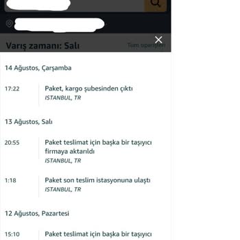 TEMU-MNG Kargo Gümrük Sorunu