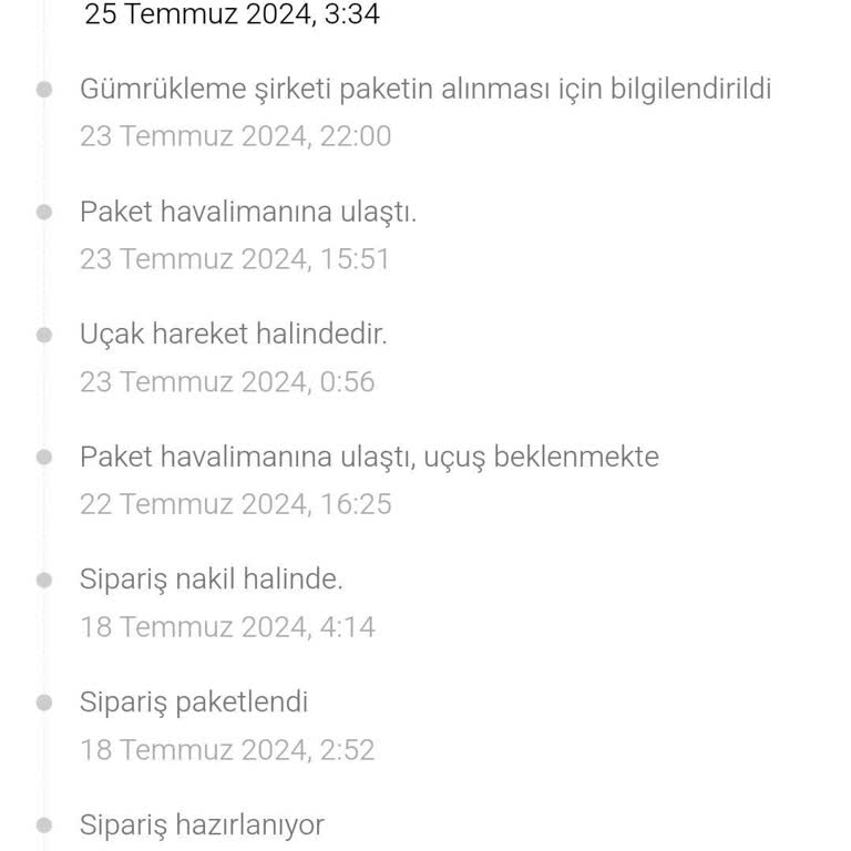 Temu Acaba Gümrük Sistemimi Çöktü