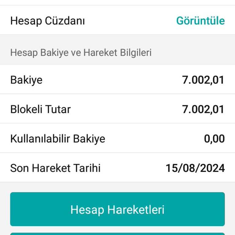 Garanti Bankası Ve Bursa 3. Genel İcra Dairesi
