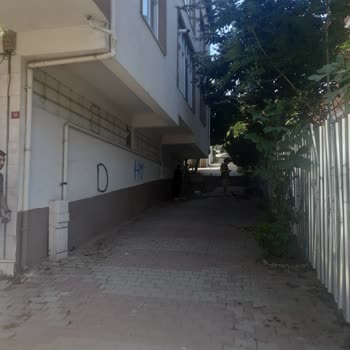 Pendik Belediyesi Mahallemizde Güvenlik Sorunu Ve Rahatsızlık