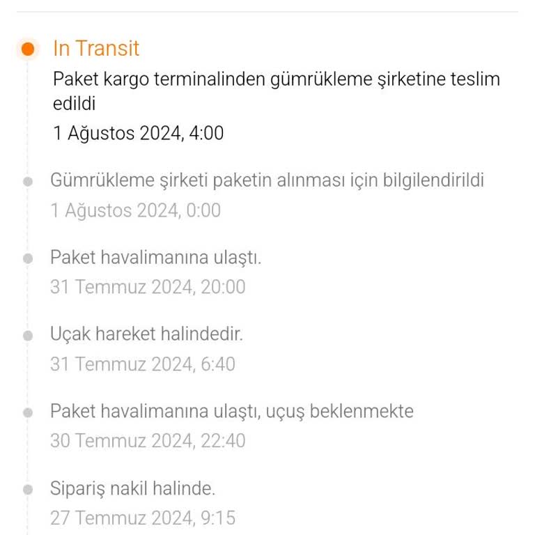 MNG Ve Temu Gümrük Sorunu