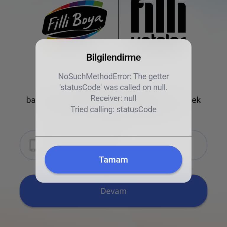 Filli Boya Giriş Yapmak İstiyorum