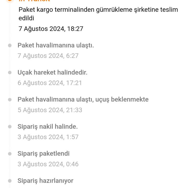 Temu Siparişim 7 Gündür Gümrükte