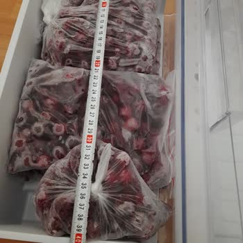 Altus Derin Dondurucu Değişim Sorunu