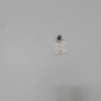 Enza Home TV Ünitesi Üzerime Devrildi