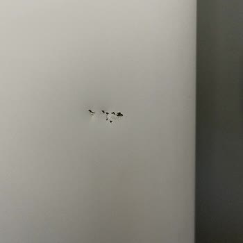 Arçelik Buzdolabı Değişim Sorunu ve Hasarlı Ürün Teslimatı