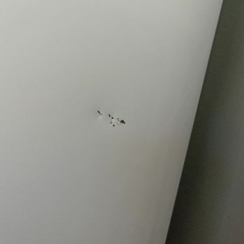 Arçelik Buzdolabı Değişim Sorunu ve Hasarlı Ürün Teslimatı