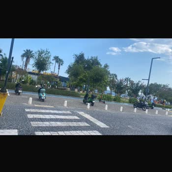 Martı Mağduriyetimin Giderilmesini Talep Ediyorum