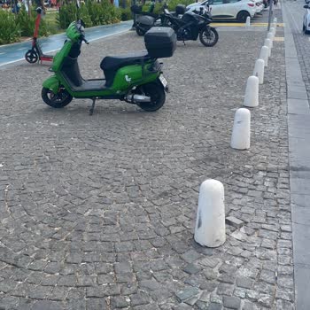Martı Mağduriyetimin Giderilmesini Talep Ediyorum