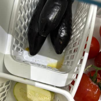 Siemens KG76NAI32N Refrigerator Vegetable Fruit Rotting Complaint