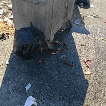 Yenimahalle Belediyesi Gersan Sanayi Sitesi Temizlik Sorunu