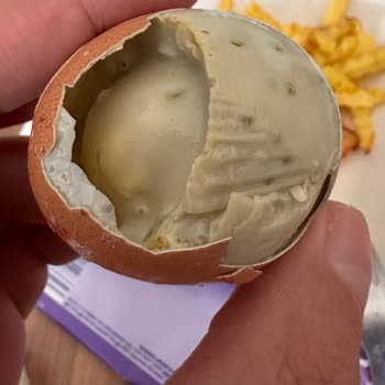 Bestegg Organik Yumurta Kurtlu Ve Bozuk Ürün Skandalı