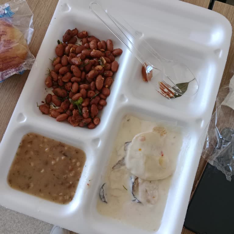 Gaziosmanpaşa Üniversitesi Hastanesi (Tokat) Hasta Ve Refakatçılara Verilen Yemekler