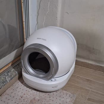 Kiwi Pets Akıllı Kedi Tuvaleti Temizlik Döngüsü Hk