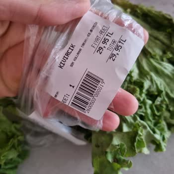 Başgimpa Bayat Kotu Ürün