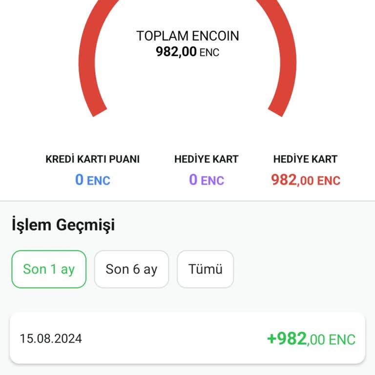 En Uygun Uygulaması Geri İade Hatası