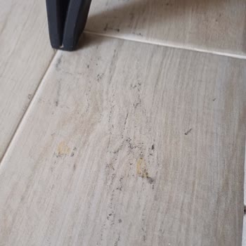 Bellona Pietro Koltuk Problemi