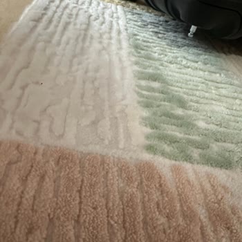 Pegasus Hava Yolları Bavul Faciası