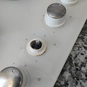 Alveus Sorumsuz Firma