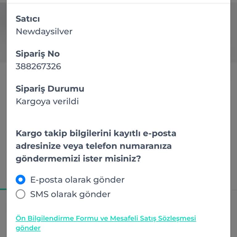 Shopier New Day Silver Alışverişim Gönderilmedi