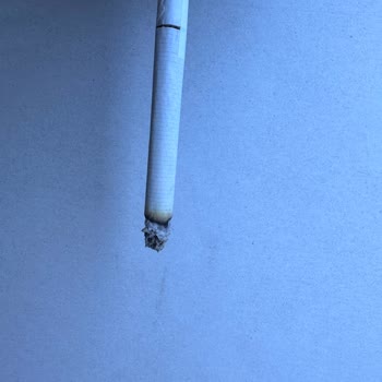 JTI Paketten Çıkan Yırtık Sigara