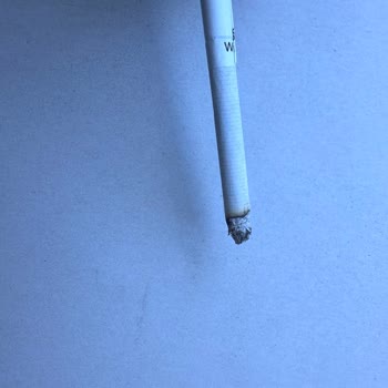 JTI Paketten Çıkan Yırtık Sigara