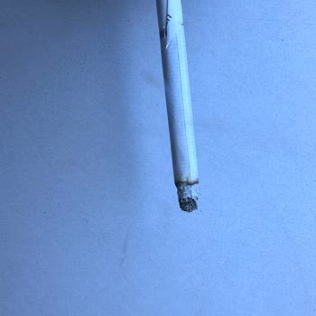 JTI Paketten Çıkan Yırtık Sigara