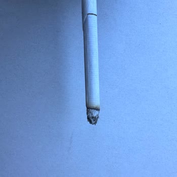 JTI Paketten Çıkan Yırtık Sigara