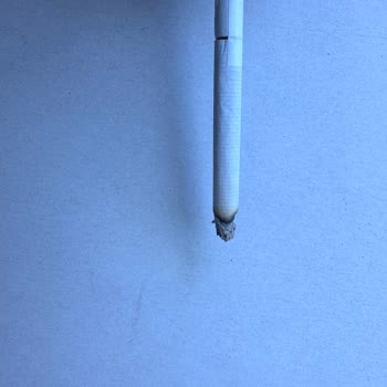 JTI Paketten Çıkan Yırtık Sigara