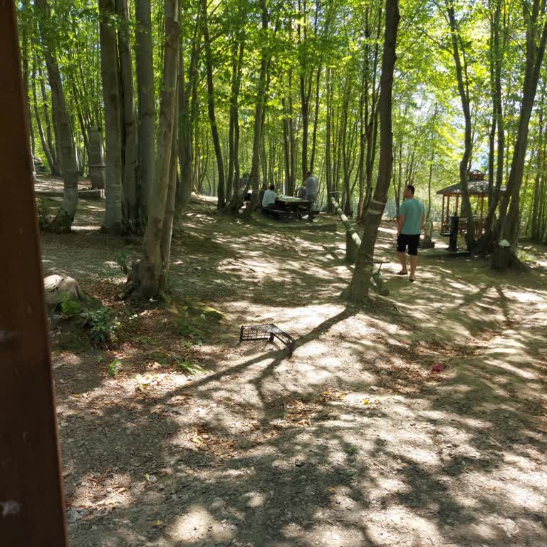 Kocaali Belediyesi Mesire Alanında Otururken Bizi Kaldırıp Başkalarını Oturttular