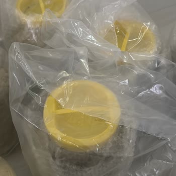 Pendirhan Yöresel Ürünler Kalitesiz Ürün Ve İade Sürecindeki Sorunlar