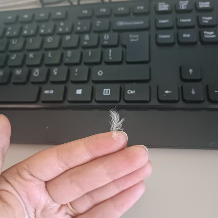 Banvit Gıda İçinde Yabancı Madde