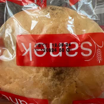 Sanek Bayat Ekmek Sorunu