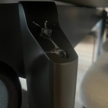 Enza Home' Un Hizmet Kalitesinin Yetersizliği