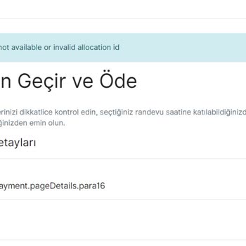 VFS Global Web Sitesi Problemi