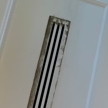 Delphin Imperial Otel Konforu Ve Temizliği Hakkında Hayal Kırıklığı