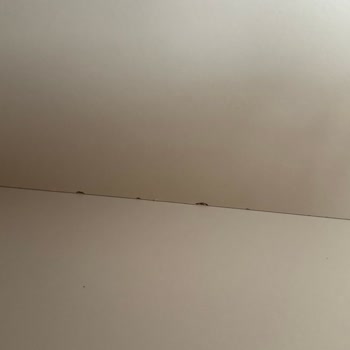 Doğtaş Mobilya Yemek Odası Takımında Yaşadığım Sorunlar Ve Çözüm Süreci