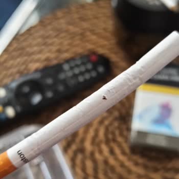 Winston Blue Long Paketteki Defolu Sigaralar