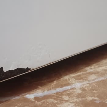 Bosch Buzdolabı Boyası Ve Servis Sorunları