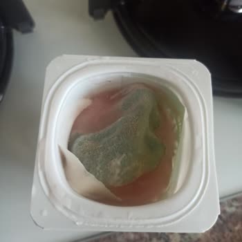 Danone Tikveşli Activa Küflenmiş Yoğurt