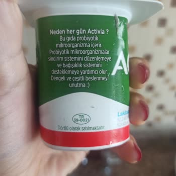Danone Tikveşli Activa Küflenmiş Yoğurt