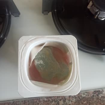 Danone Tikveşli Activa Küflenmiş Yoğurt