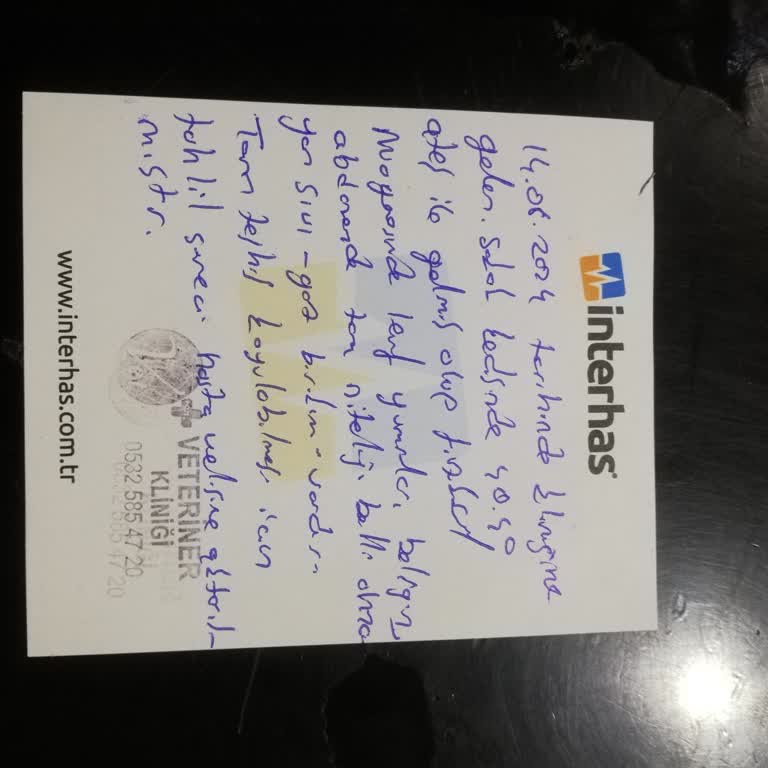 Vet Plus Veteriner Kliniği (Ankara) Keçiören Vetplus Veteriner Kliniği Sokak Hayvanlarını Tedavi Etmiyor